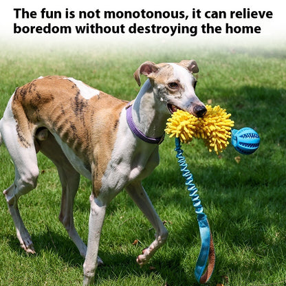 Bite-Resistant Tug-of-war Toy