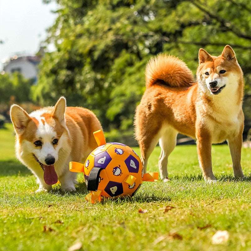 Pet Interactive Football
