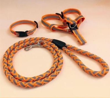 Reflective Dog Leash - 3 Piece Set