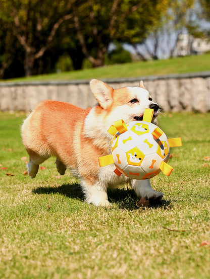 Pet Interactive Football
