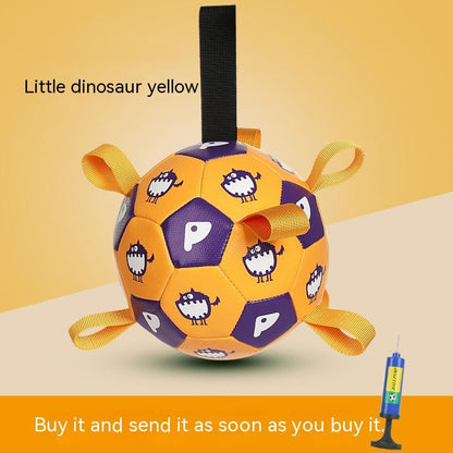 Pet Interactive Football
