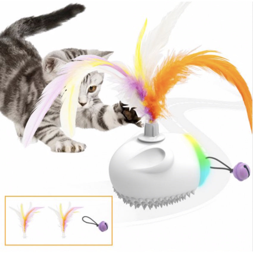 The Mouse Of The House Cat Toy - Sensor Interactive