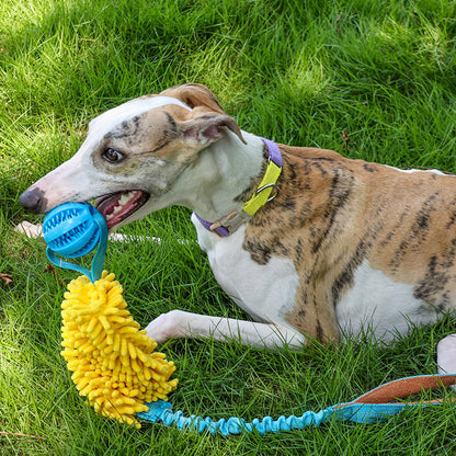 Bite-Resistant Tug-of-war Toy