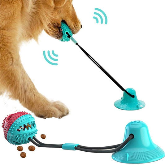 Suction Cup Ball & Tug Toy – Ultimate Playtime Challenge.
