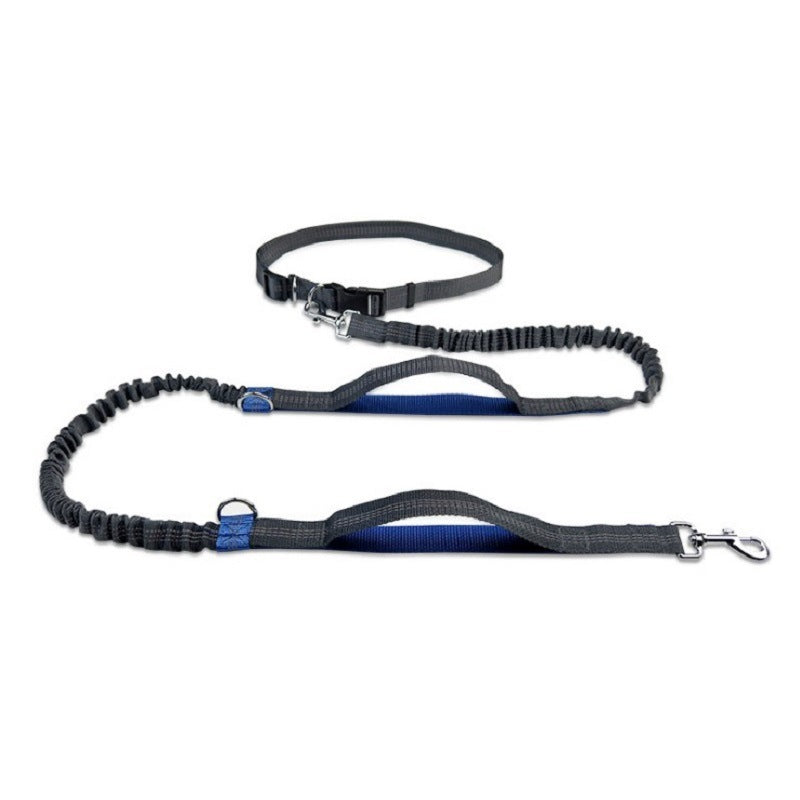 The BuddyBelt Leash