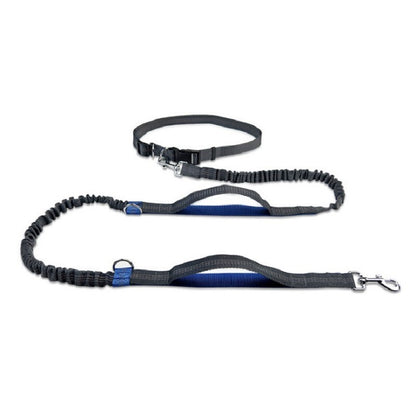 The BuddyBelt Leash
