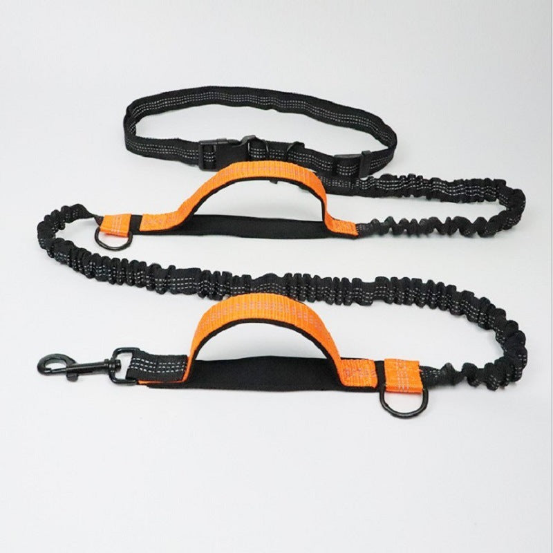 The BuddyBelt Leash